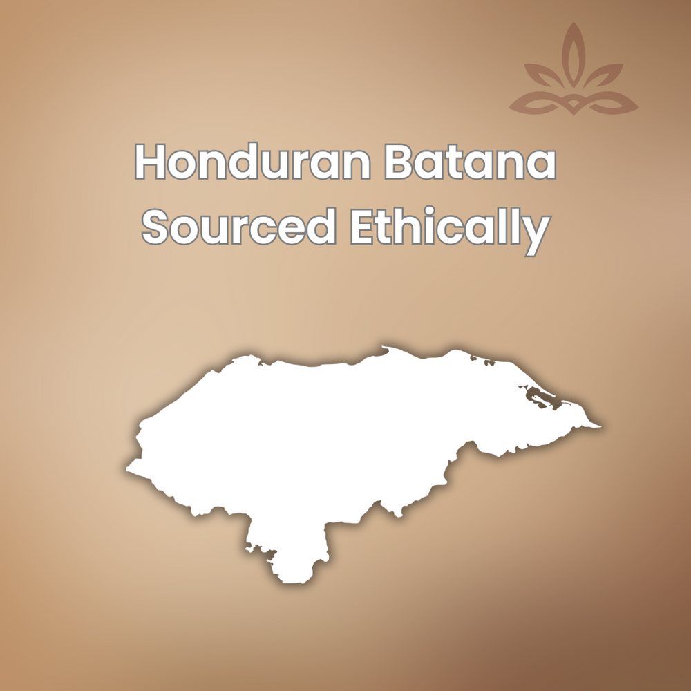 Batana oil scalp nourishment